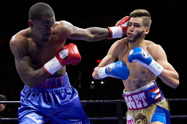 terrel williams boxe